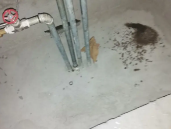 郊区卫生间测漏水价格明细